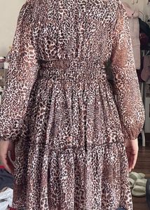 Zara Leopard Print Dress