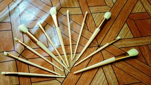 10 Makeup Brushes