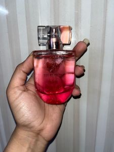 Plum  Perfume Tulips Don’t Lie🌷