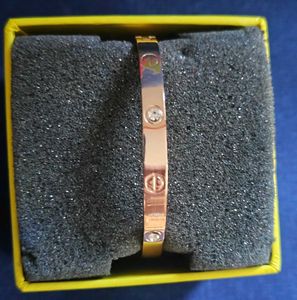 Elegant Rose Gold Bangle
