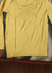 Yellow Embellished Pullover Sweater(Ludhiana)