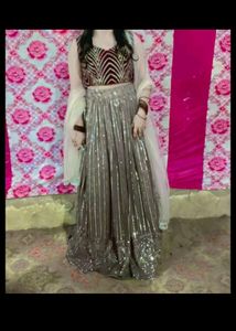 Beautiful Lehenga With Sequence Work
