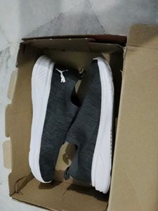 Puma Sports Shoes