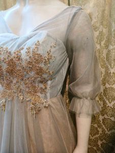 Goldish Grey Embellished Tulle Dress