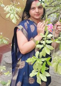 Beautiful Saree