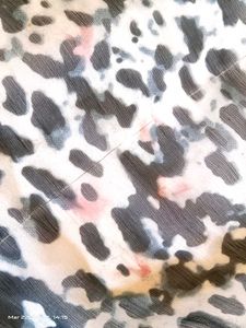 Women&#39;s Georgette Scarf