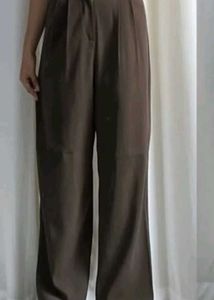 Brown Pleated Trousers