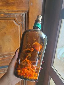 Unique Distillers Bottle Lamp