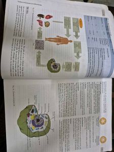 Biochemistry Textbook - 3rd Edition