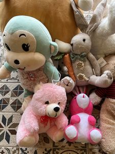 Combo of 10 Stuff Toys