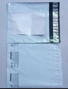 Brand New Set Of 2pcs Pod Courier Bags With Pouch