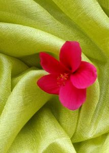 Jute Cotton Saree with Stitched Blouse