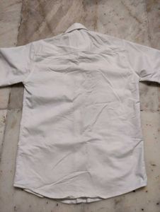 plain white shirt for mens