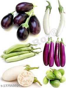 Brinjal Seeds 1 Packet