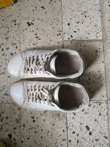 Birkenstock White Sneakers