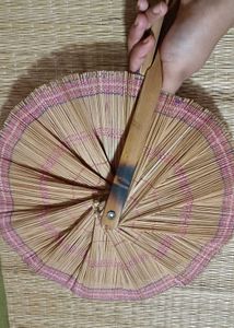 Vintage Fan ~ Collectible