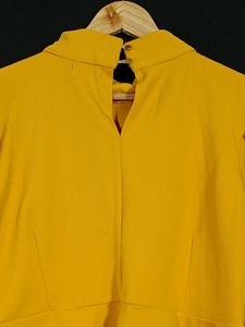 Mustard Yellow Top (Women)