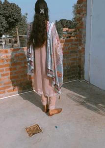 Elegant Printed Shawl &amp; Blush Outfit