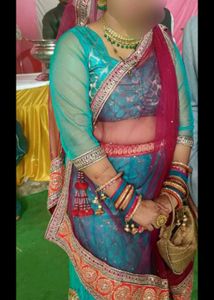 Lehnga Choli Multicolour