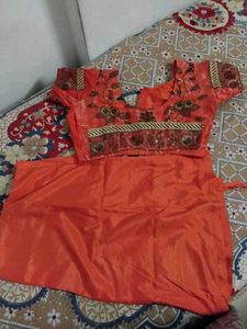 Beautiful delicate Organza embroidery saree