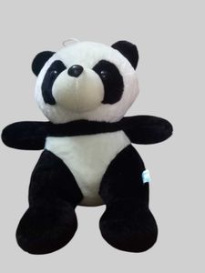 Cool Teddy Bear Black Nd White Colour