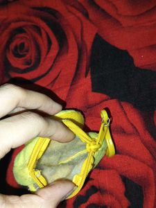 Money Wallet