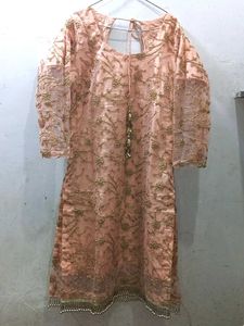 Embroidered Net Overlay Tunic
