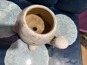 Ceramic Pot (tortoise Shaped)