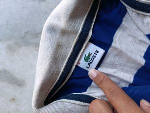Lacost Tshirt For Men