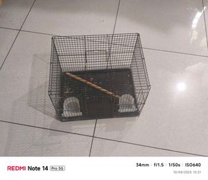 Small Bird Cage