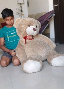 Big Teddybear Self Pickup