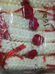 5Pair Kajara