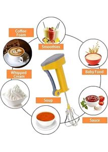 Stainless Steel Rotary Hand Whisk