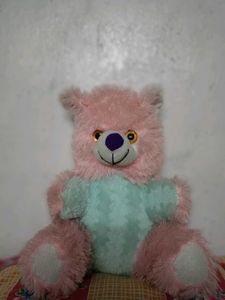 New Cute Teddy 🧸🐻