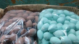 100 PIECES MAKEUP SPONGE