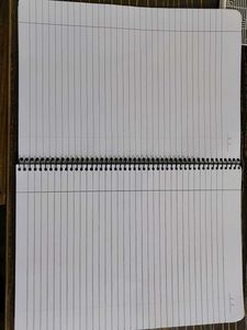 Classmate Pulse Notebooks - Set of 2