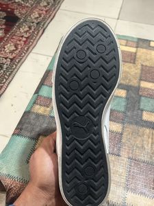 Puma Shoes In New Like Condition