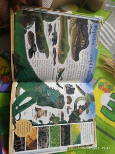 New Animal Encyclopedia