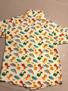 Cute Dinosaur Shirt (2-3 Years)