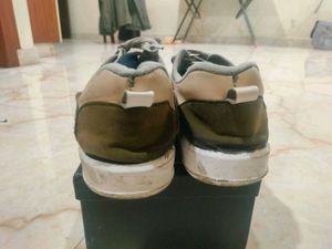 Casual Sneakers