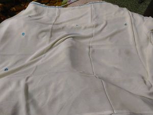 Elegant Embellished Saree