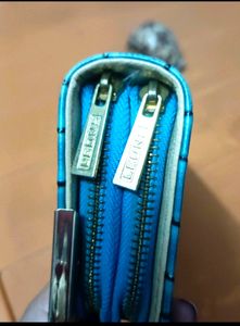 Beautiful Clutch