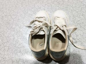Alexander McQueen Authentic Sneaker.