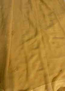 Lucknowi Chikankari Saree