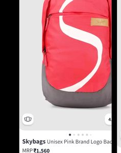 Skybag Pink Backpack