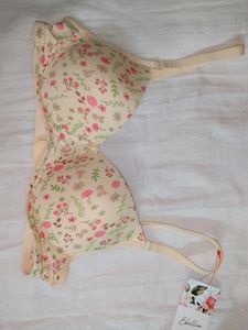 Ebillia Paded Bra