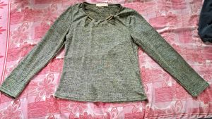 Shimmery Top With Golden Brochure
