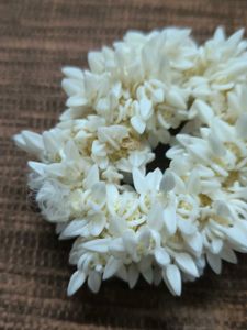 White Flower Garland