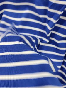 Blue Stripes Top