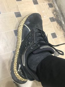 Puma bounce